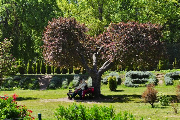 Quels sont les avantages de la mise en place de jardins sensoriels dans les écoles pour les enfants ayant des besoins spéciaux ?